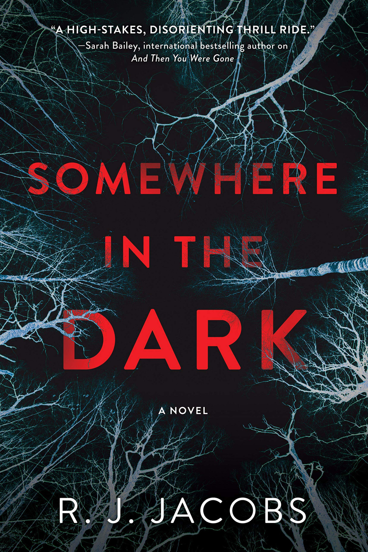 Somewhere In The Dark R J Jacobs