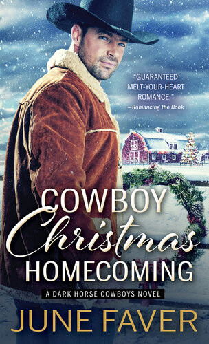 Cowboy Christmas Homecoming June Faver