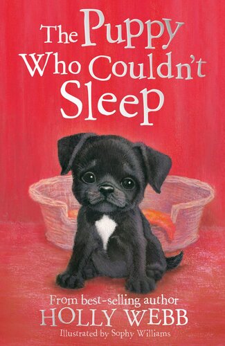The Puppy Who Couldnt Sleep Holly Webb