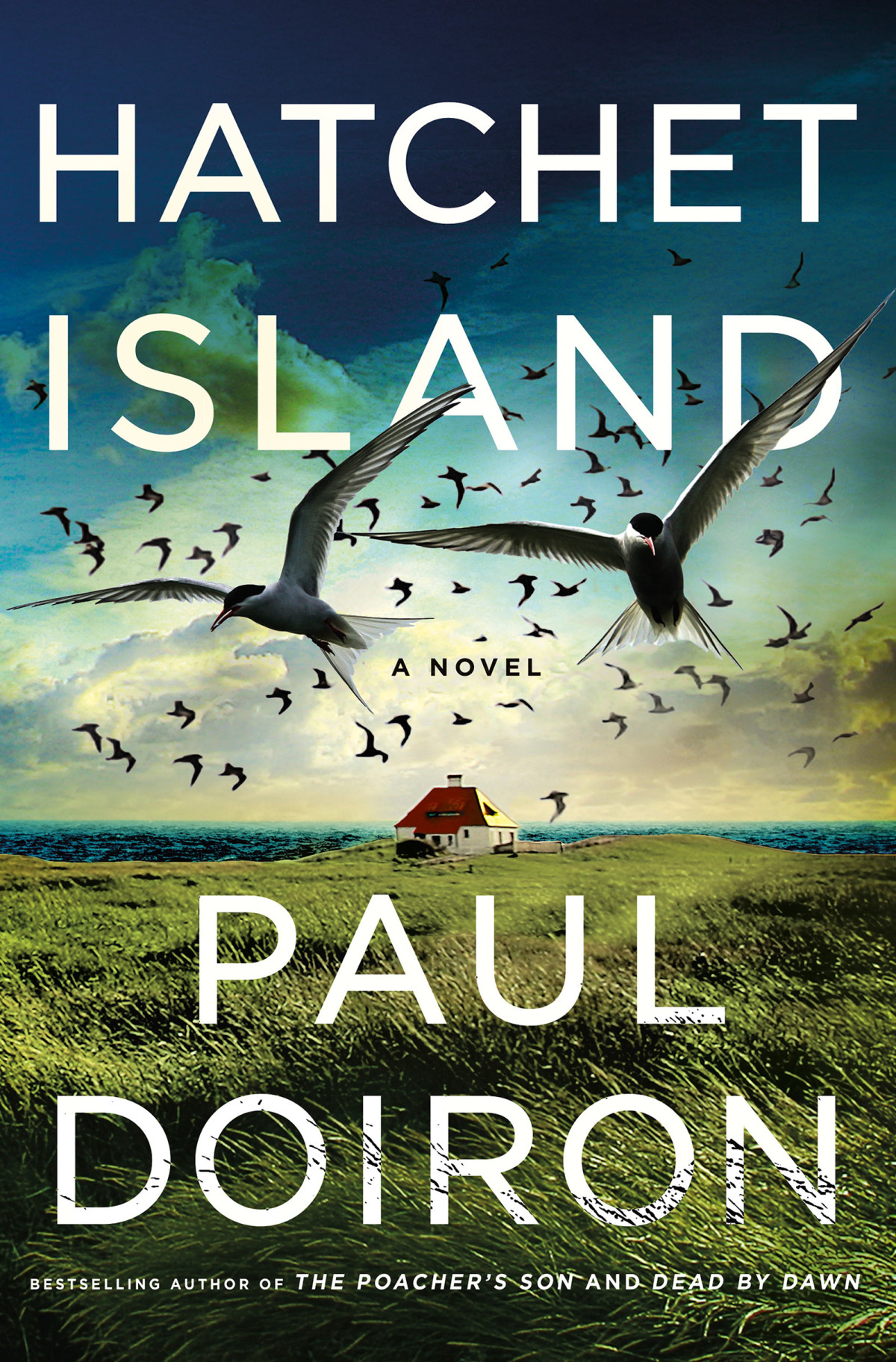 Hatchet Island Paul Doiron