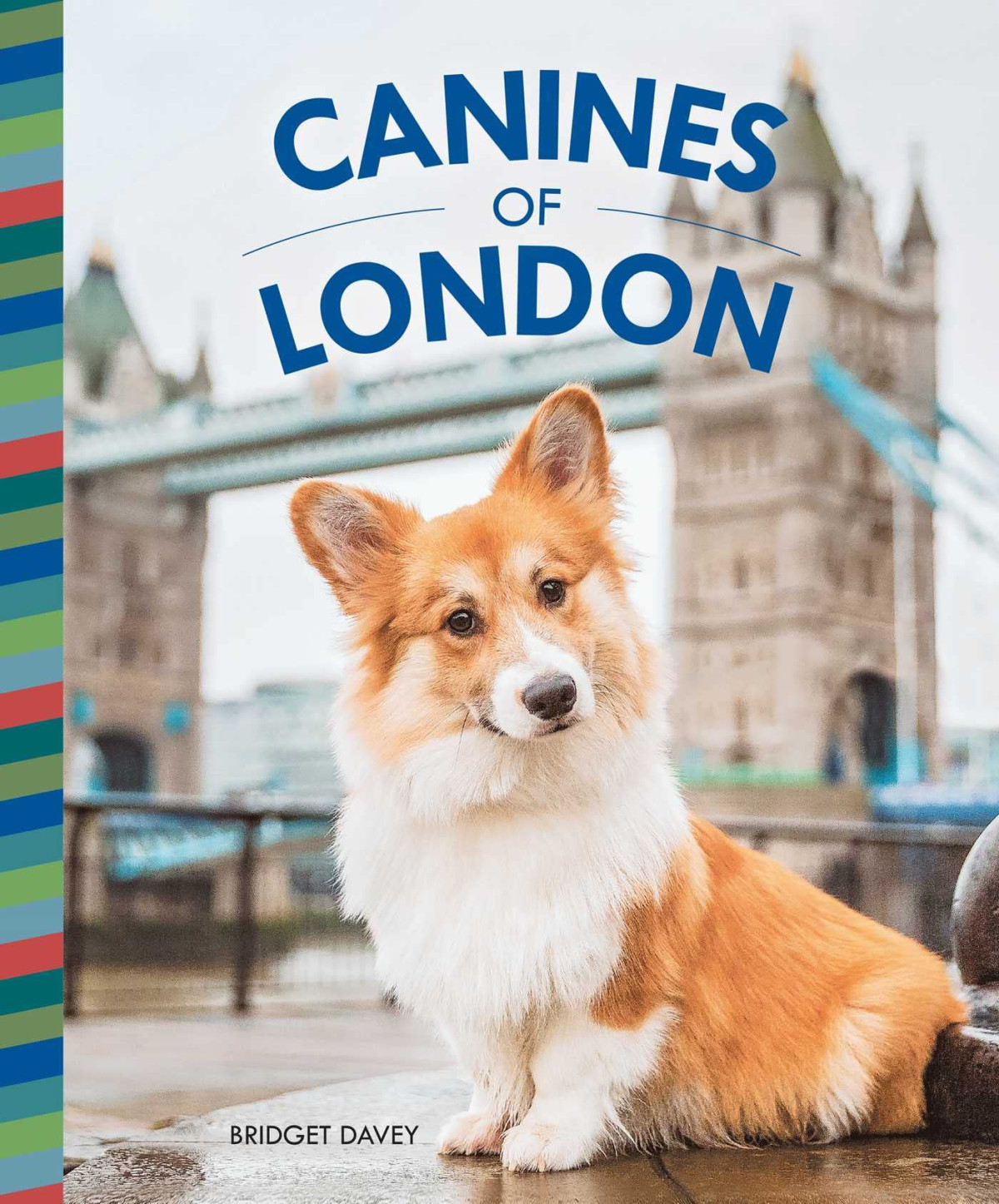 Canines Of London Bridget Davey