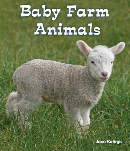 Baby Farm Animals Jane Katirgis