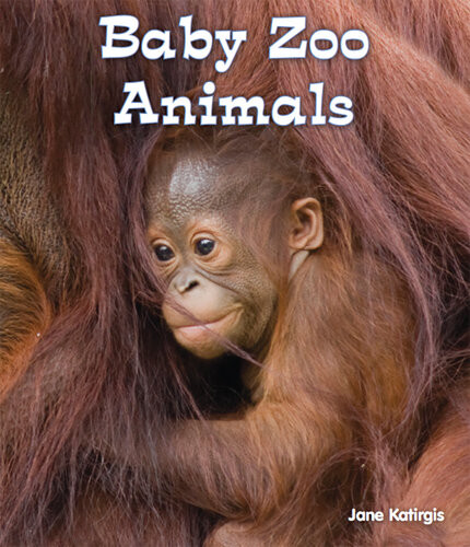 Baby Zoo Animals Jane Katirgis