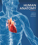 Human Anatomy 4th Edition Frederic Martini Michael J Timmons Robert B Tallitsch