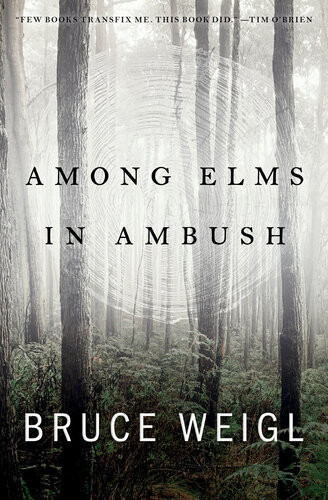 Among Elms In Ambush Bruce Weigl