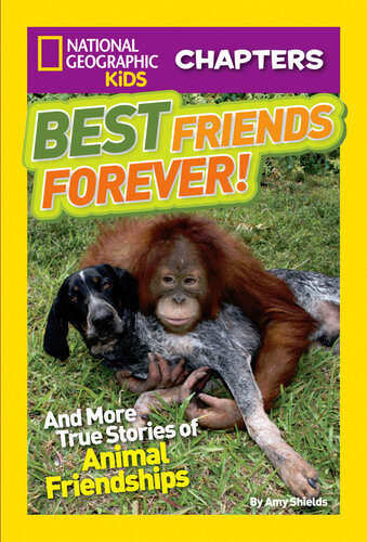 Best Friends Forever And More True Stories Of Animal Friendships Amy Shields