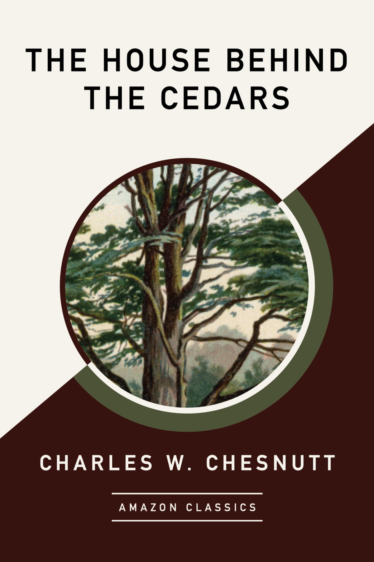 The House Behind The Cedars Charles W Chesnutt