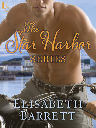 The Star Harbor Series 4book Bundle Deep Autumn Heat Blaze Of Winter Long Simmering Spring Slow Summer Burn Elisabeth Barrett