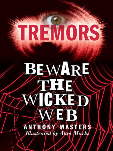 Beware The Wicked Web Anthony Masters