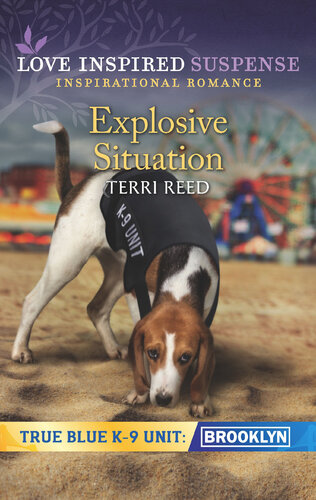Explosive Situation Terri Reed