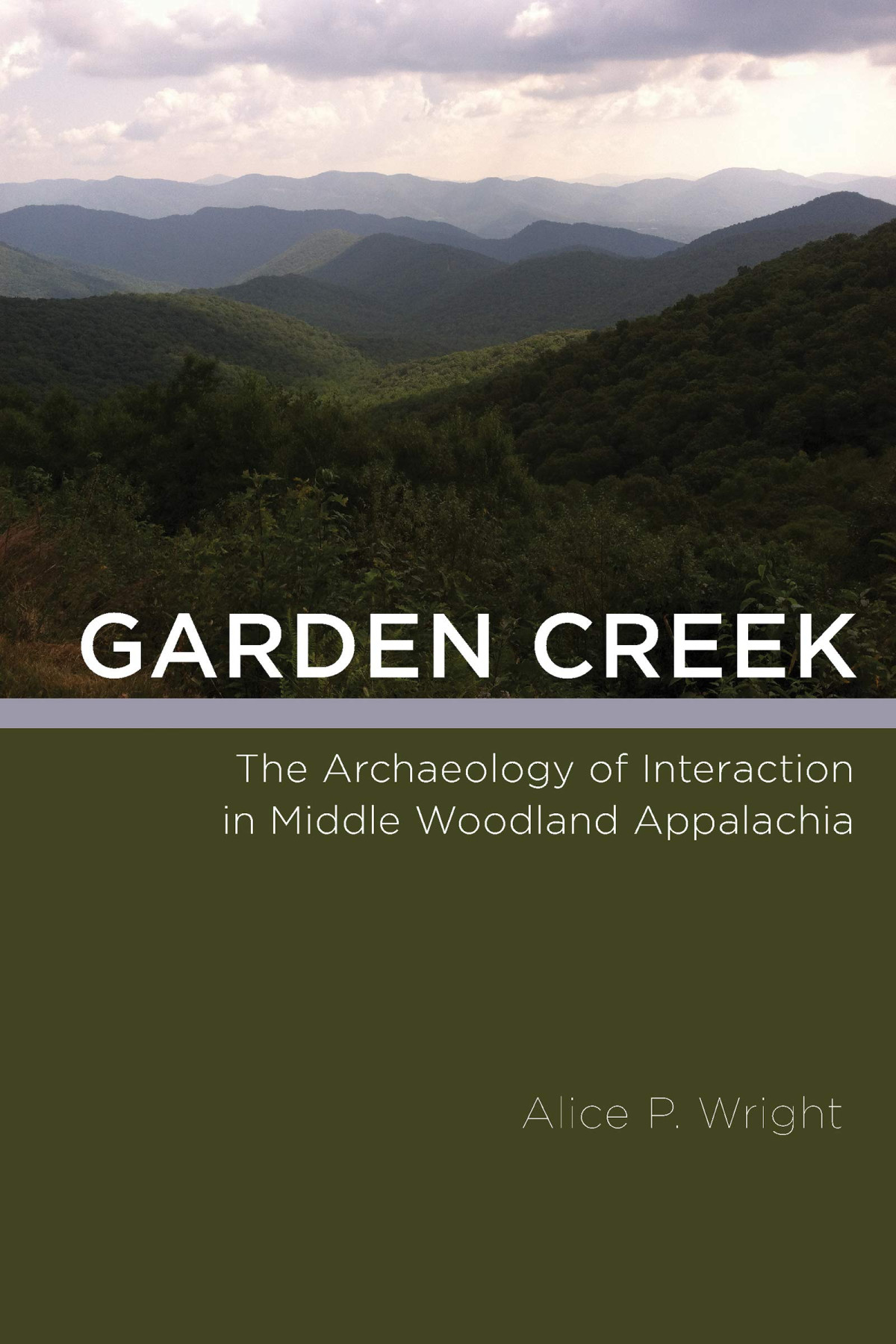 Garden Creek The Archaeology Of Interaction In Middle Woodland Appalachia Alice P Wright