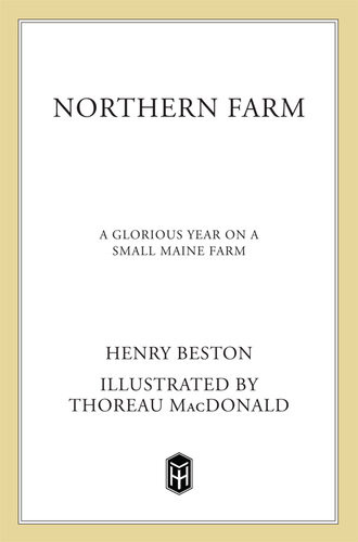 The Northern Farm A Glorious Year On A Small Maine Farm Henry Beston