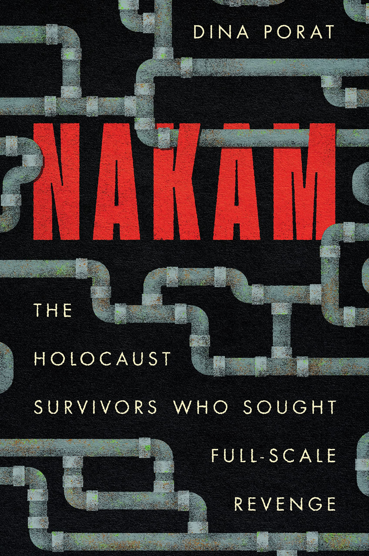 Nakam The Holocaust Survivors Who Sought Fullscale Revenge Dina Porat