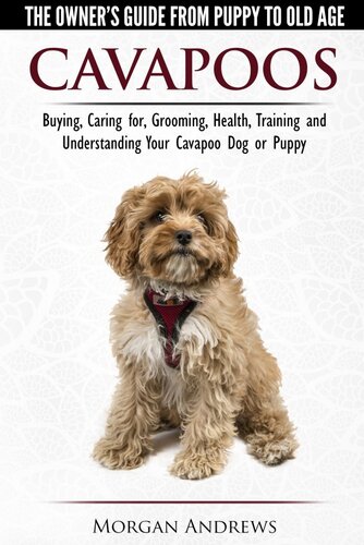 Cavapoos The Owners Guide From Puppy To Old Agebuying Caring For Grooming Health Training And Understanding Your Cavapoo Dog Or Puppy Morgan Andrews