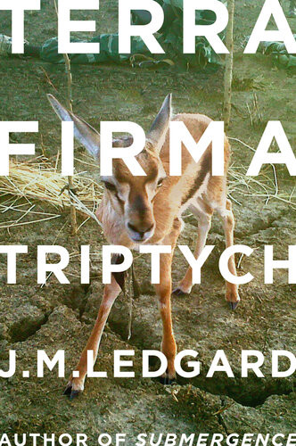 Terra Firma Triptych When Robots Fly J M Ledgard