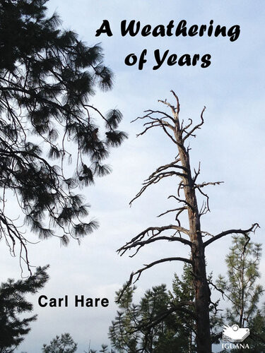 A Weathering Of Years Carl Hare