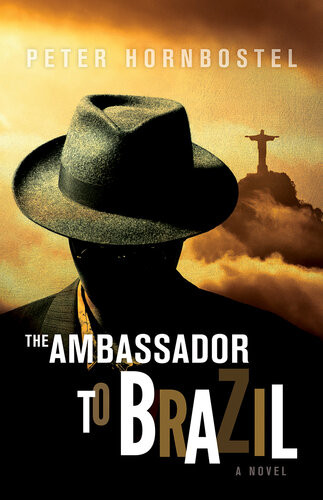 The Ambassador To Brazil Peter Hornbostel