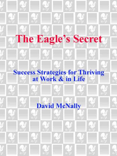 The Eagles Secret Success Strategies For Thriving At Work In Life David Mcnally