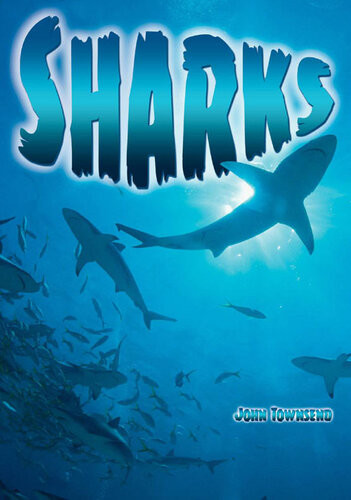 Sharks John Townsend