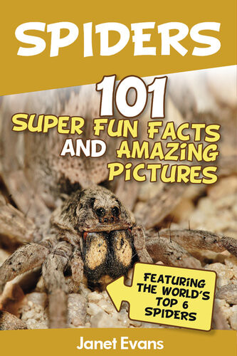 Spiders 101 Fun Facts Amazing Pictures Featuring The Worldd Top 6 Spiders Janet Evans