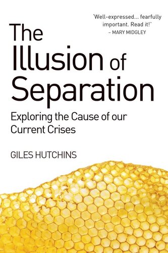 Illusion Of Separation Exploring The Cause Of Our Current Crises Giles Hutchins