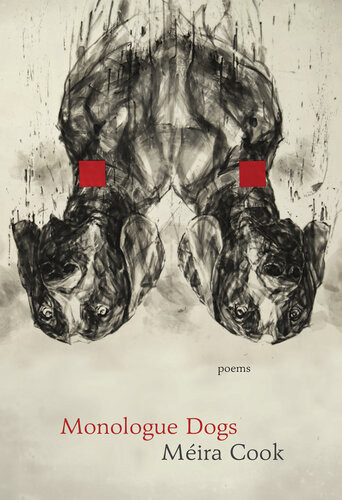 Monologue Dogs Meira Cook
