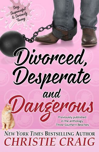 Divorced Desperate And Dangerous Christie Craig