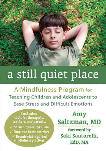 A Still Quiet Place A Mindfulness Program For Teaching Children And Adolescents To Ease Stress And Difficult Emotions Amy Saltzman