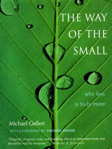 The Way Of The Small Why Less Is Truly More Michael Gellert