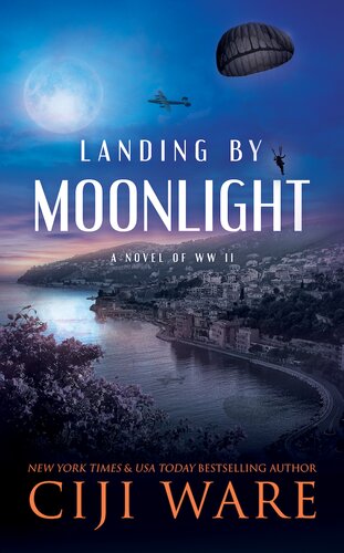 Landing By Moonlight Ciji Ware