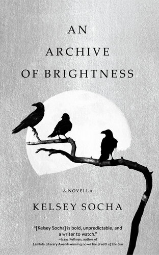 An Archive Of Brightness Kelsey Socha