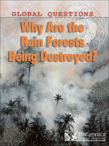 Why Are The Rain Forests Being Destroyed 1st Edition Peter Littlewood