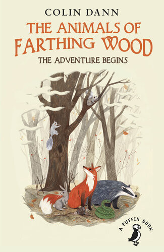 The Adventure Begins Colin Dann
