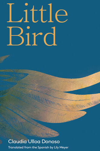 Little Bird Claudia Ulloa Donoso