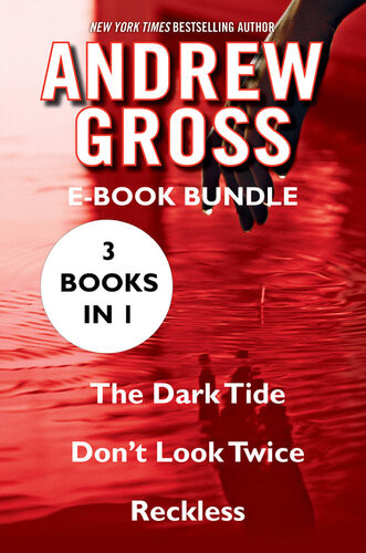 Andrew Gross Ebook Bundle The Dark Tide Dont Look Twice Reckless Andrew Gross