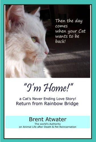 Im Home A Cats Never Ending Love Story Cat Reincarnation Stories Animal Life After Death Pet Heaven Pet Loss Reincarnation Brent Atwater