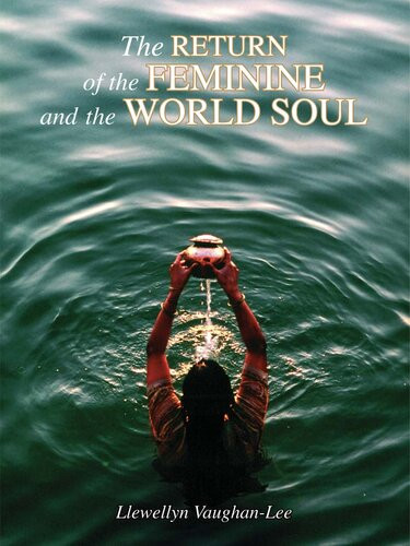 The Return Of The Feminine And The World Soul Llewellyn Vaughanlee
