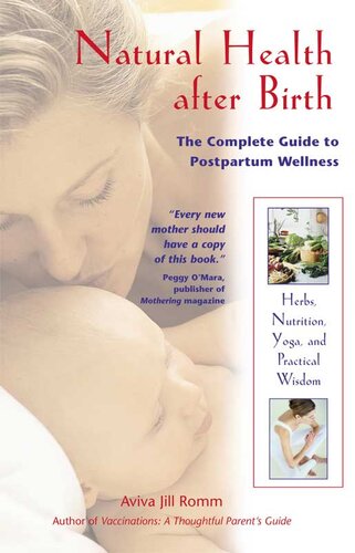 Natural Health After Birth The Complete Guide To Postpartum Wellness Aviva Jill Romm