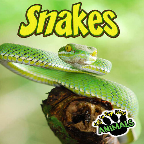 Snakes Tom Greve