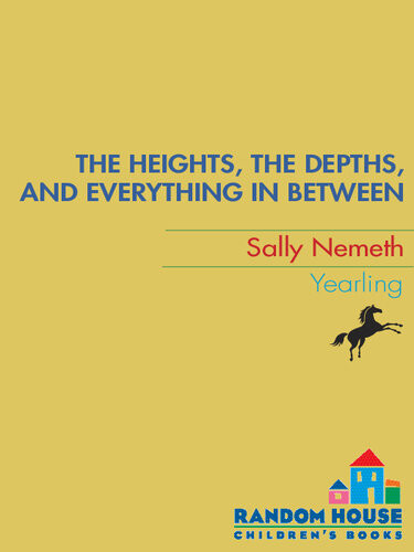 The Heights The Depths And Everything In Between Sally Nemeth
