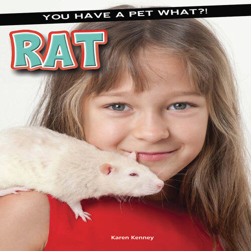 Rat Karen Kenney