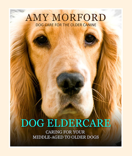 Dog Eldercare Caring For Your Middle Aged To Older Dog Amy Morford