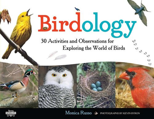 Birdology 30 Activities And Observations For Exploring The World Of Birds Isbn9781613749524 Monica Russo Monica Russo Kevin Byron Kevin Byron