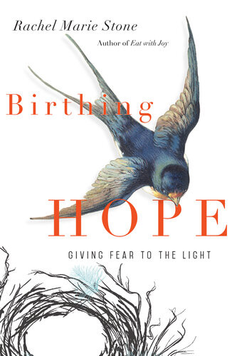 Birthing Hope Giving Fear To The Light Rachel Marie Stone