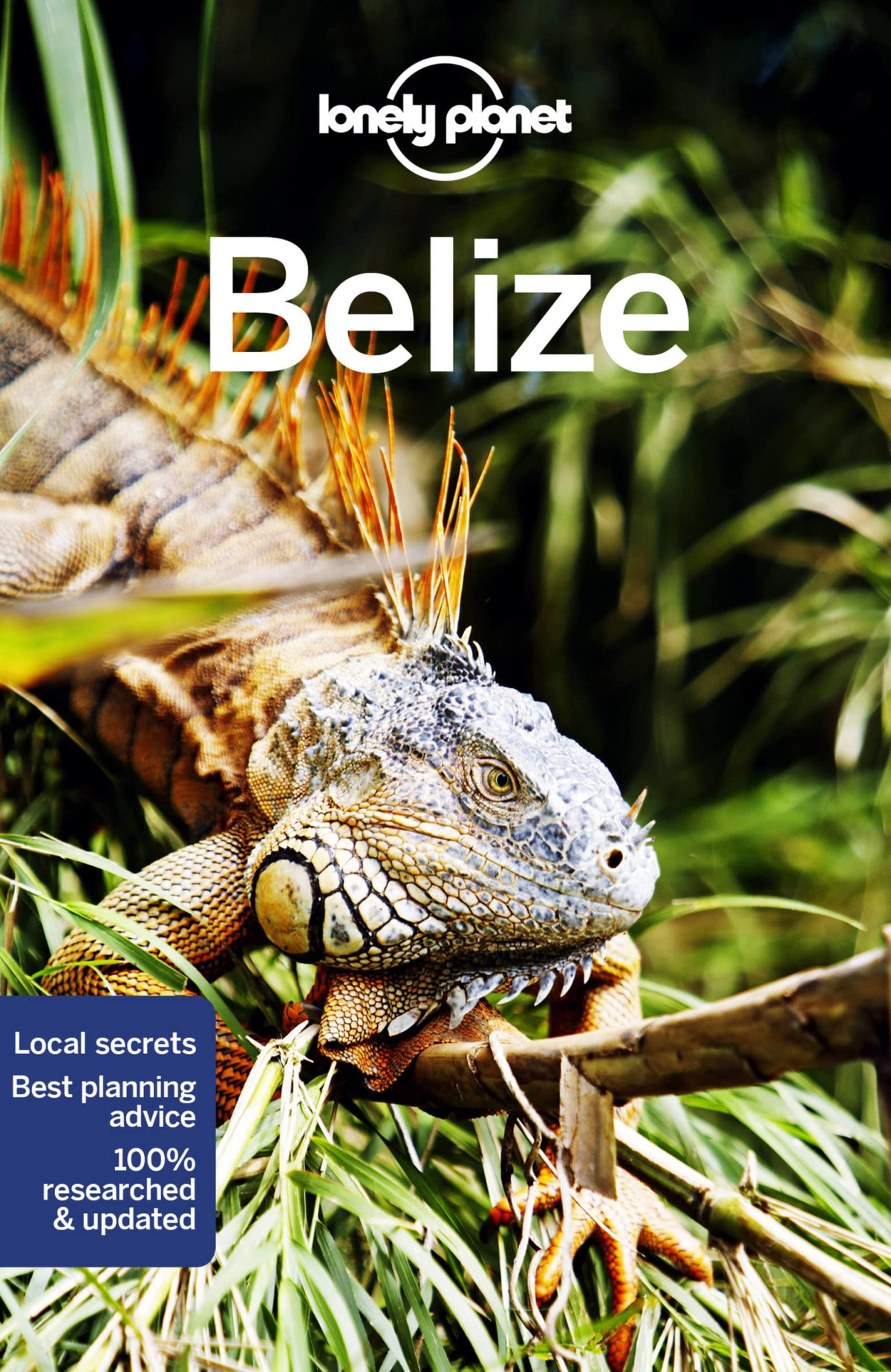 Belize 8th Edition Paul Harding Ray Bartlett Ashley Harrell