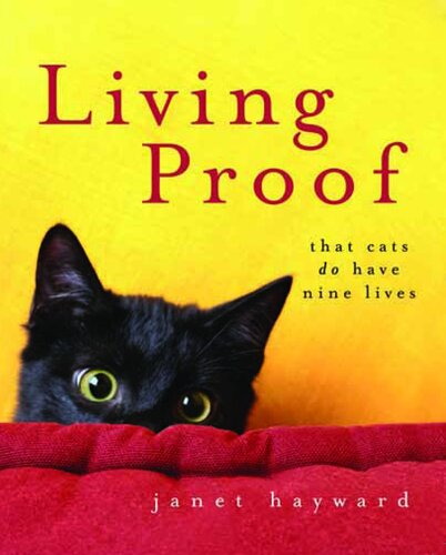 Living Proof That Cats Do Have Nine Lives Janet Hayward