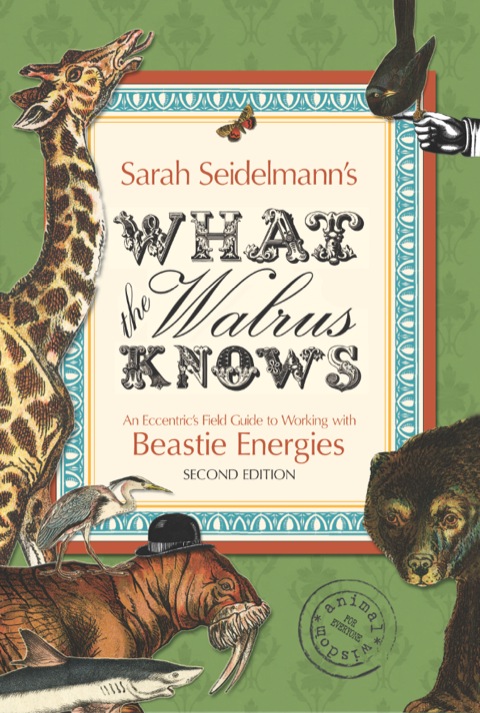 Sarah Seidelmanns What The Walrus Knows 2nd Edition Sarah Bamford Seidelmann
