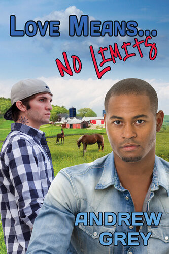 Love Means No Limits Andrew Grey