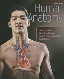 Human Anatomy 4th Edition Michael Mckinley Valerie Oloughlin Ronald Harris Elizabeth Pennefatherobrien