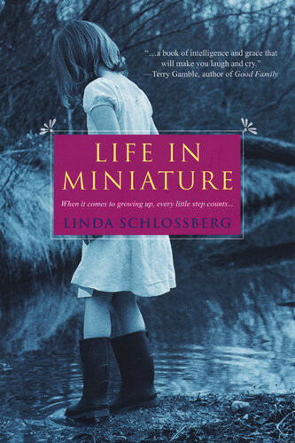 Life In Miniature Linda Schlossberg